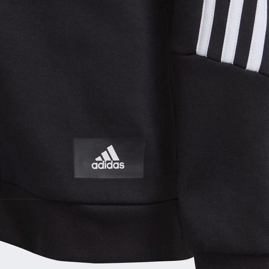 Adidas Sportswear Capuchonsweatvest FUTURE ICONS 3-STREIFEN KAPUZENJACKE