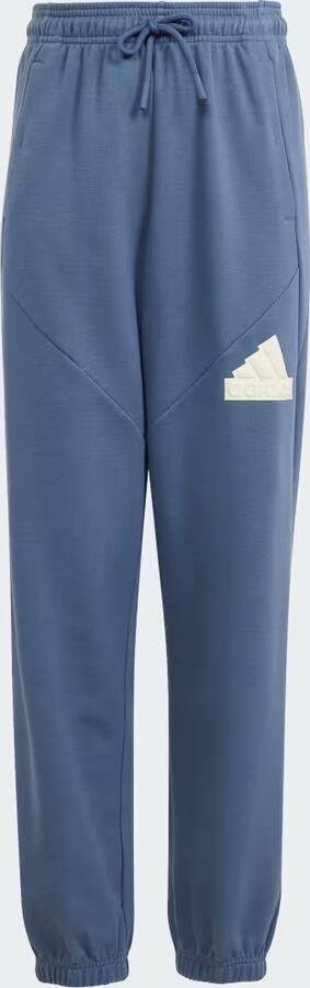 Adidas Sportswear Future Icons Logo Broek