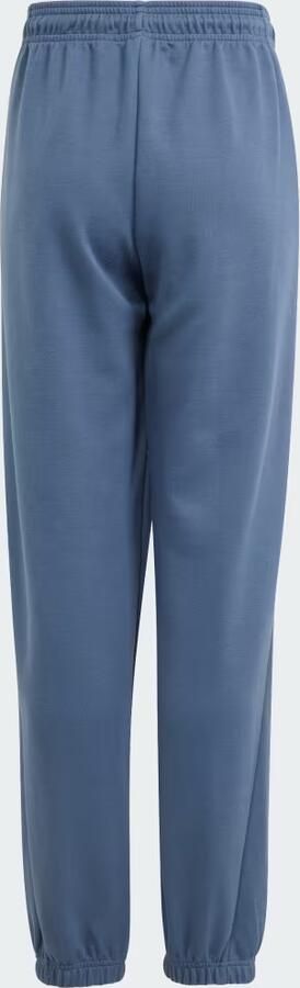 Adidas Sportswear Future Icons Logo Broek - Foto 5