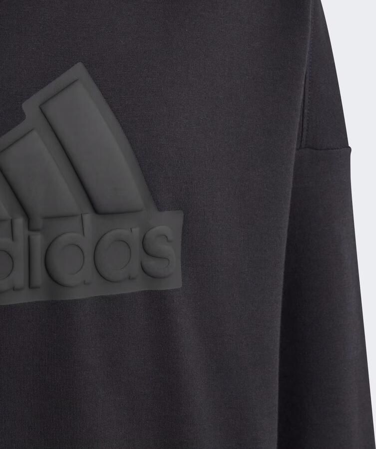 Adidas Sportswear Future Icons Logo Sweatshirt met Capuchon - Foto 4