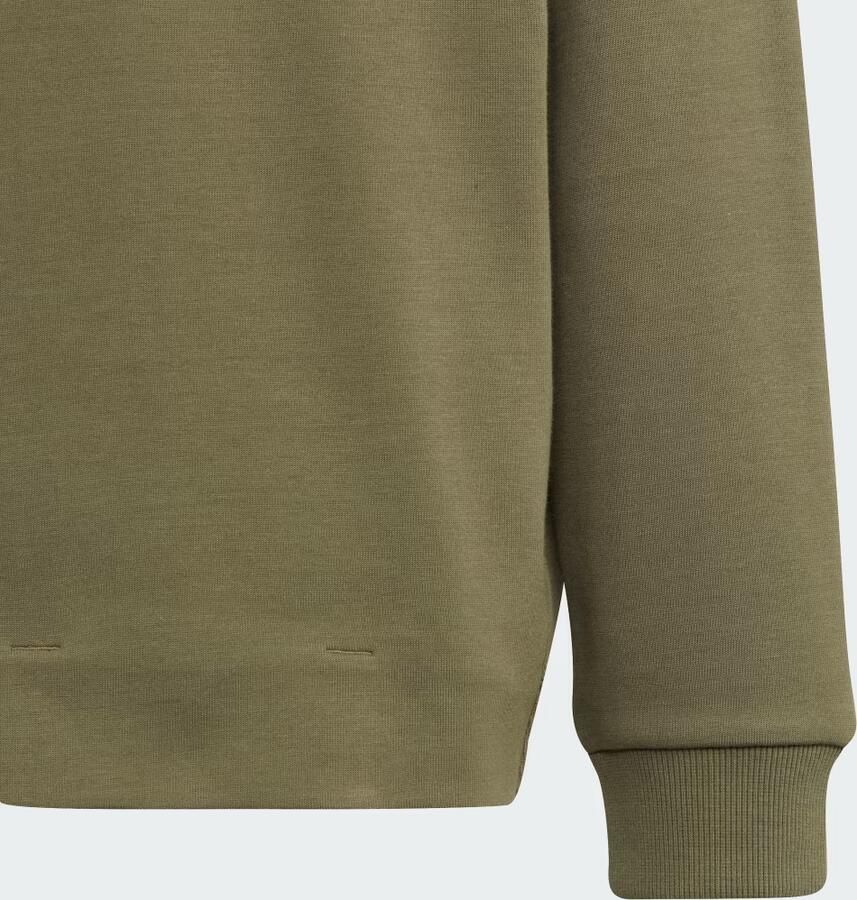 Adidas Sportswear Future Icons Logo Sweatshirt met Capuchon - Foto 4