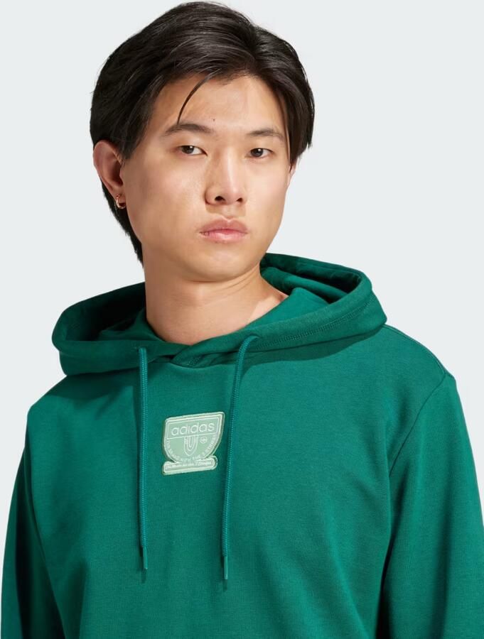 Adidas Graphic Hoodie Groen- Heren Groen - Foto 2