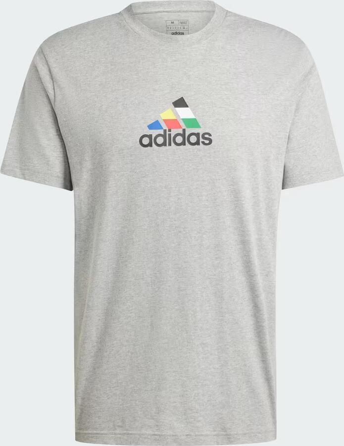 Adidas T-shirt Korte Mouw T-shirt House Of Tiro Nations gris