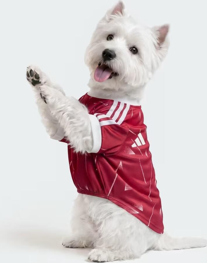 Adidas Huisdierenshirt Liverpool FC