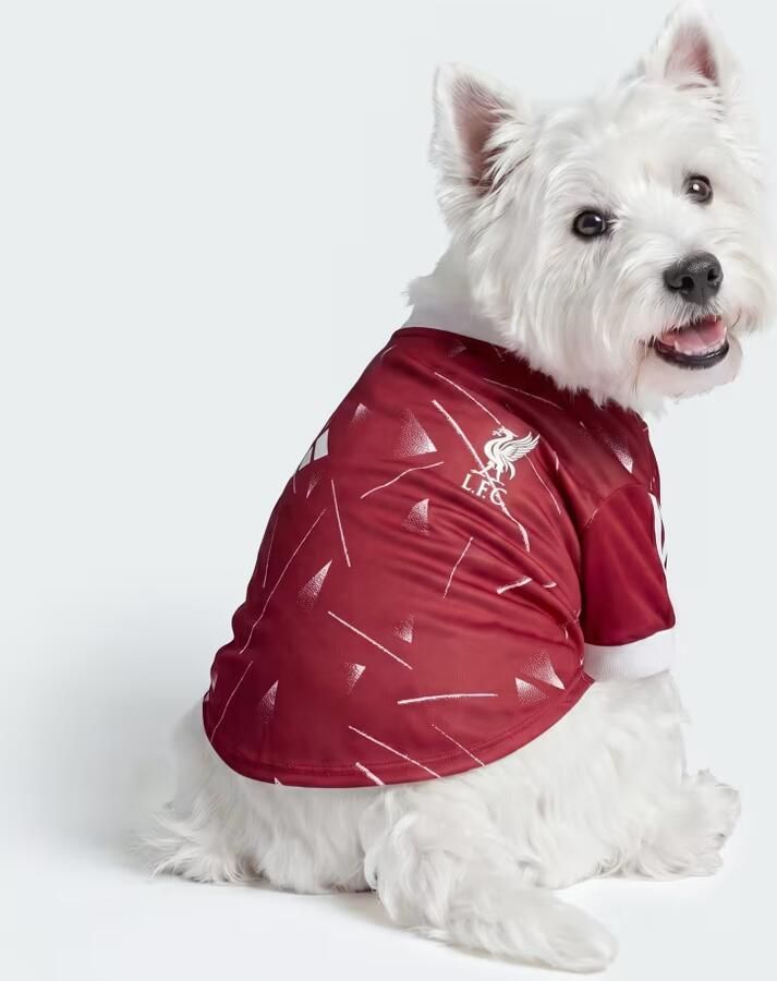 Adidas Huisdierenshirt Liverpool FC - Foto 6