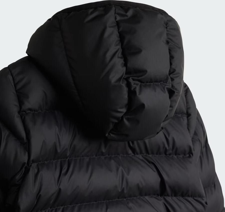 Adidas Badge Of Sport Padded Jacket Infant Zwart Kind Zwart - Foto 4