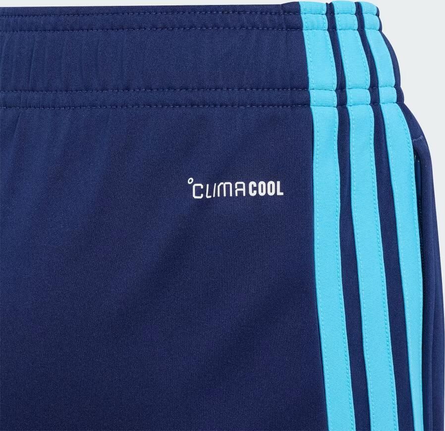 Adidas Lamine Yamal Tiro26 League Training Short Kids - Foto 2