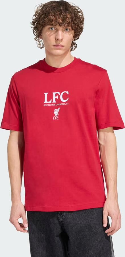 Adidas Liverpool FC Seasonal Graphic T-shirt