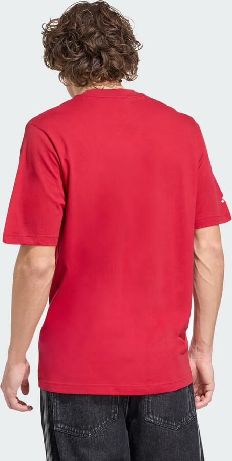 Adidas Liverpool FC Seasonal Graphic T-shirt - Foto 6