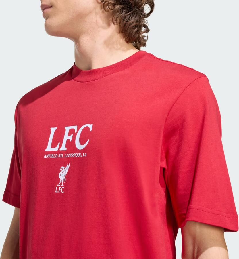 Adidas Liverpool FC Seasonal Graphic T-shirt - Foto 2