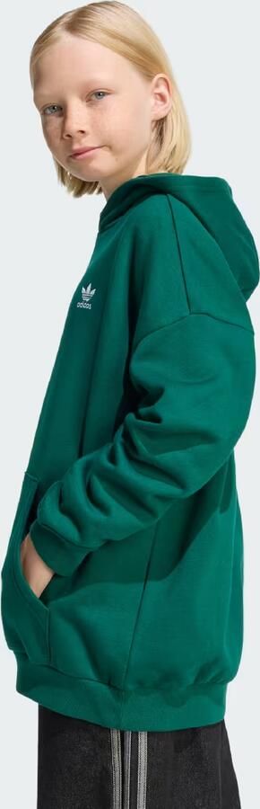 Adidas Loose-fit Fleece Hoodie Kids - Foto 6