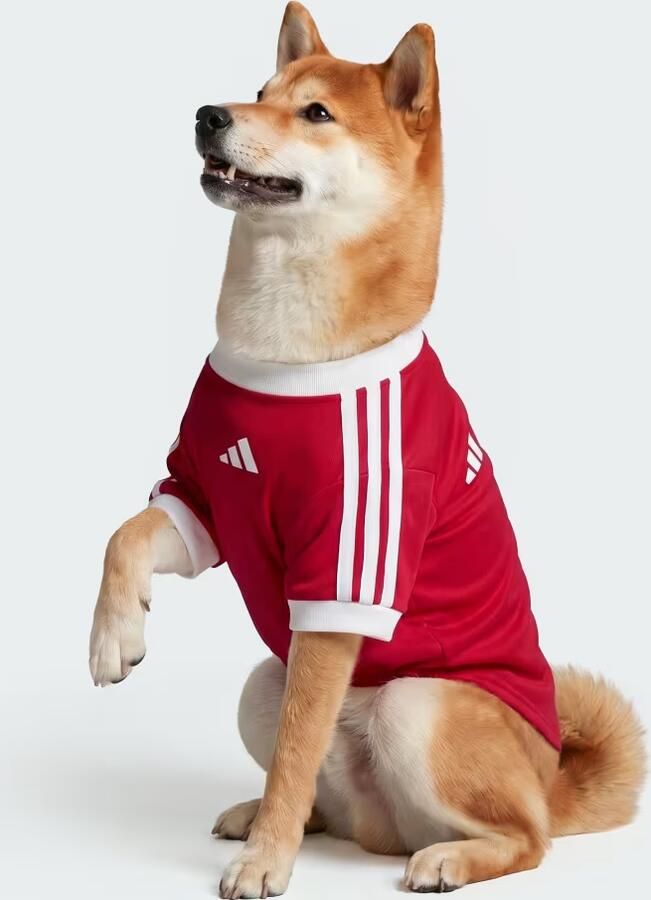 Adidas chester United Huisdierenshirt - Foto 6