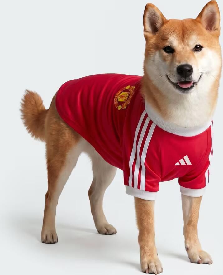 Adidas chester United Huisdierenshirt - Foto 4