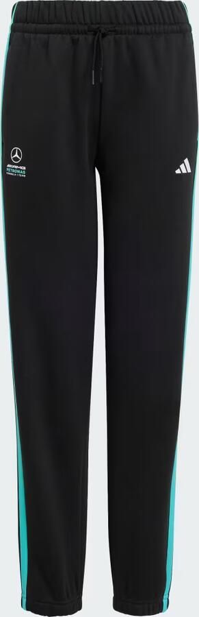 Adidas MERCEDES AMG PETRONAS FORMULA 1 TEAM DNA BROEK