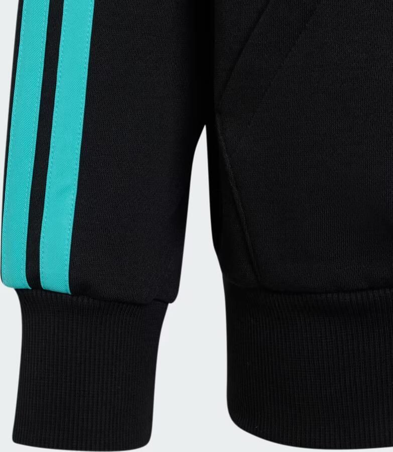 Adidas MERCEDES AMG PETRONAS FORMULA 1 TEAM DNA HOODIE MET LANGE RITSSLUITING - Foto 4