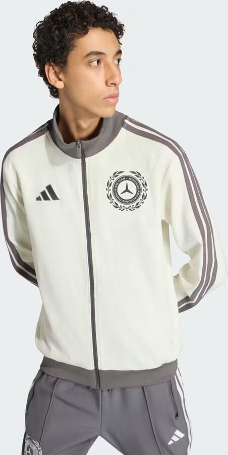 Adidas MERCEDES AMG PETRONAS FORMULA 1 TEAM SILVER ARROWS ICON SPORTJACK MANNEN - Foto 6