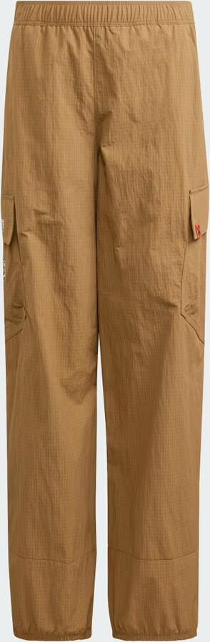Adidas Minecraft Terrex CLIMA365 Cargobroek Kids - Foto 5