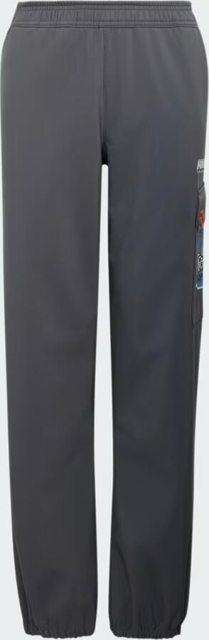 Adidas Minecraft Terrex CLIMAWARM Softshell Broek - Foto 5