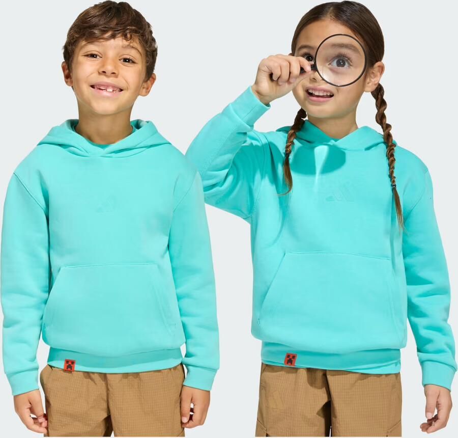 Adidas Minecraft Terrex Hoodie