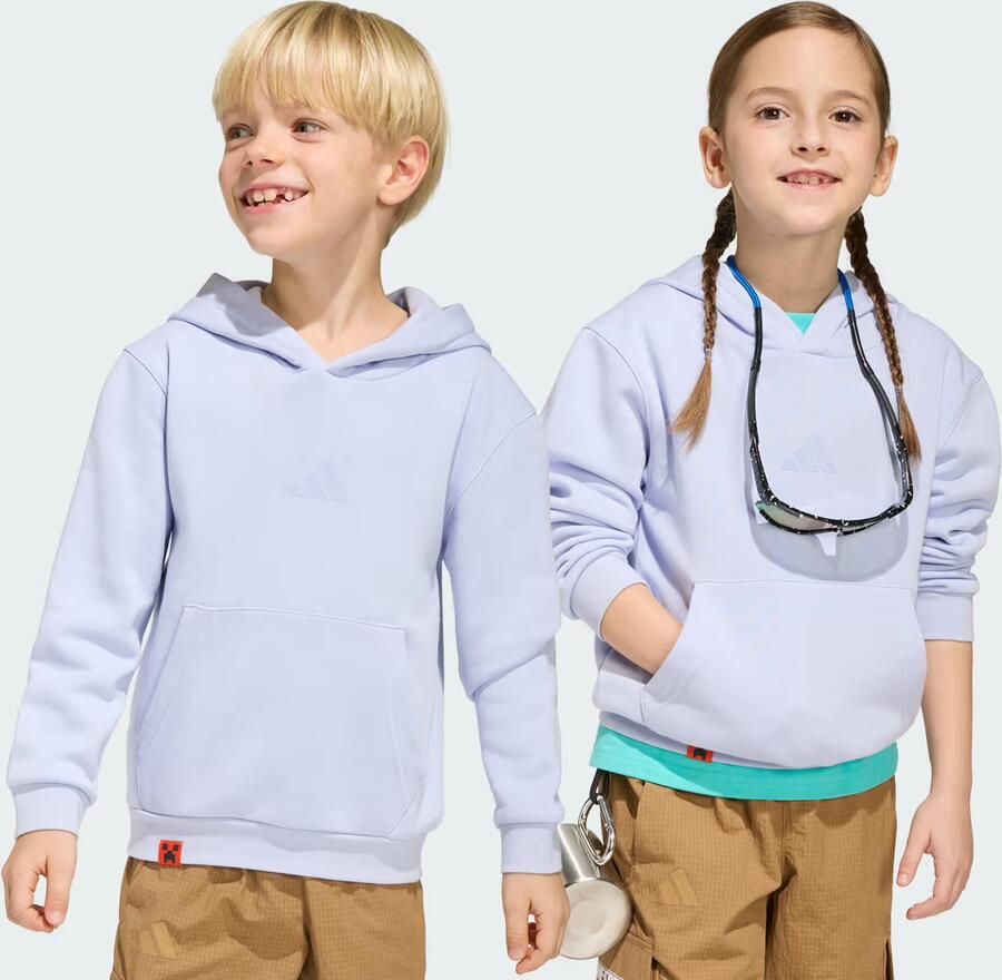 Adidas Minecraft Terrex Hoodie