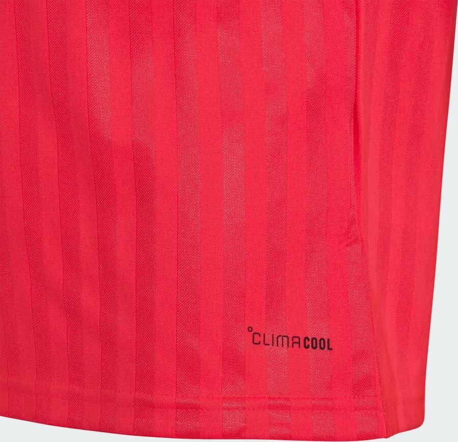 Adidas Olympique Lyonnais 26 27 Away Jersey - Foto 3