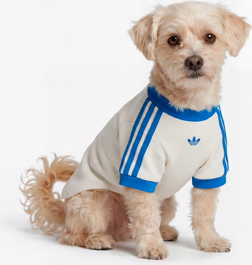 Adidas PET CALI T-SHIRT
