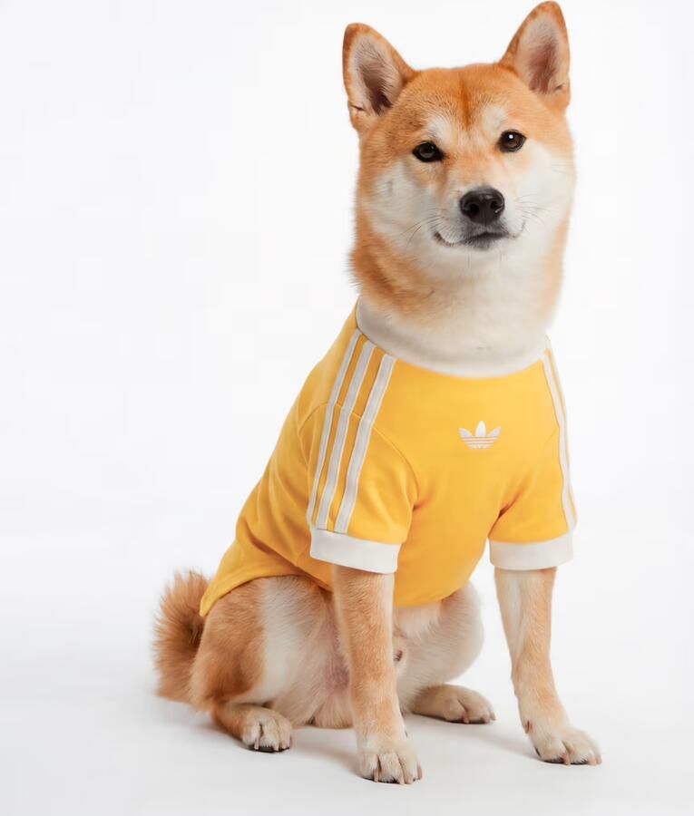 Adidas PET CALI T-SHIRT