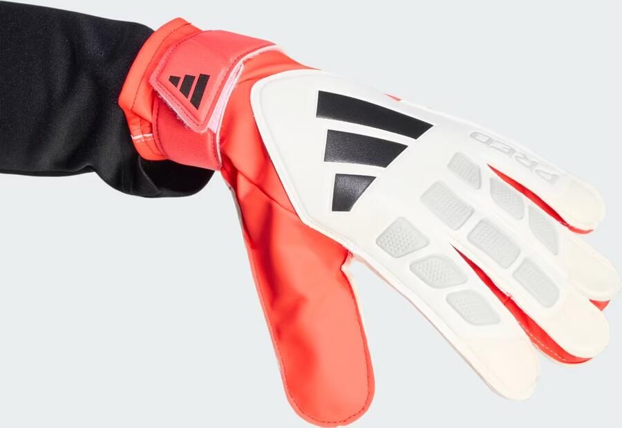 Adidas PREDATOR TRAINING KEEPERSHANDSCHOENEN - Foto 5
