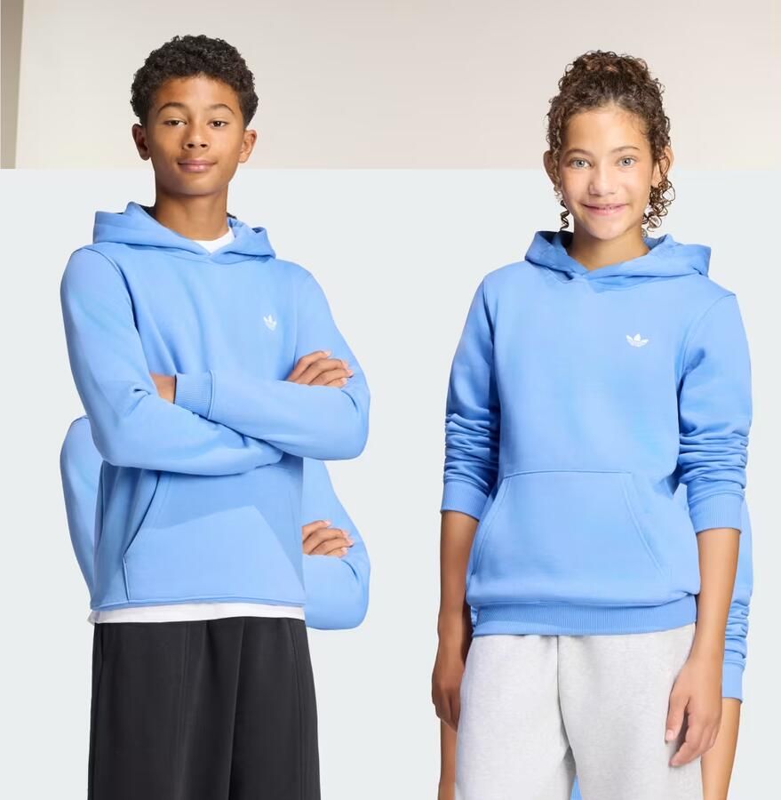 Adidas REGULAR FLEECE HOODIE