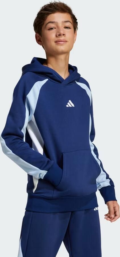 Adidas Sweater Seasonal Essentials Colorblock Fleece Hoodie Kids