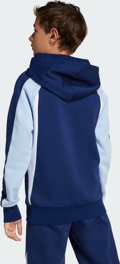 Adidas Sweater Seasonal Essentials Colorblock Fleece Hoodie Kids - Foto 6