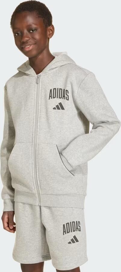 Adidas SEASONALS COLLEGIATE TYPOGRAPHY HOODY