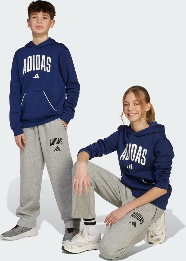 Adidas Seasonals Essentials Collegiate Typography Broek Kids