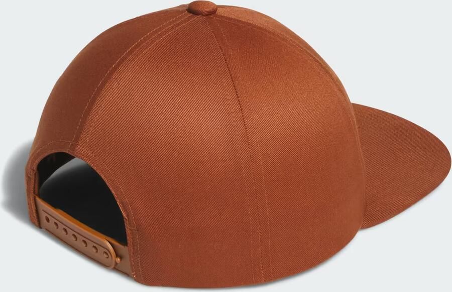 Adidas SKATEBOARDING LOWKEY 6PANEL PET - Foto 4