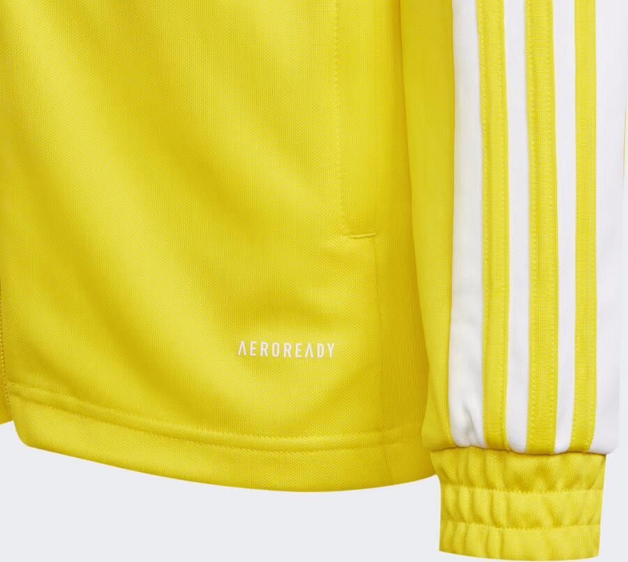 Adidas Sweater Squadra 21 Training