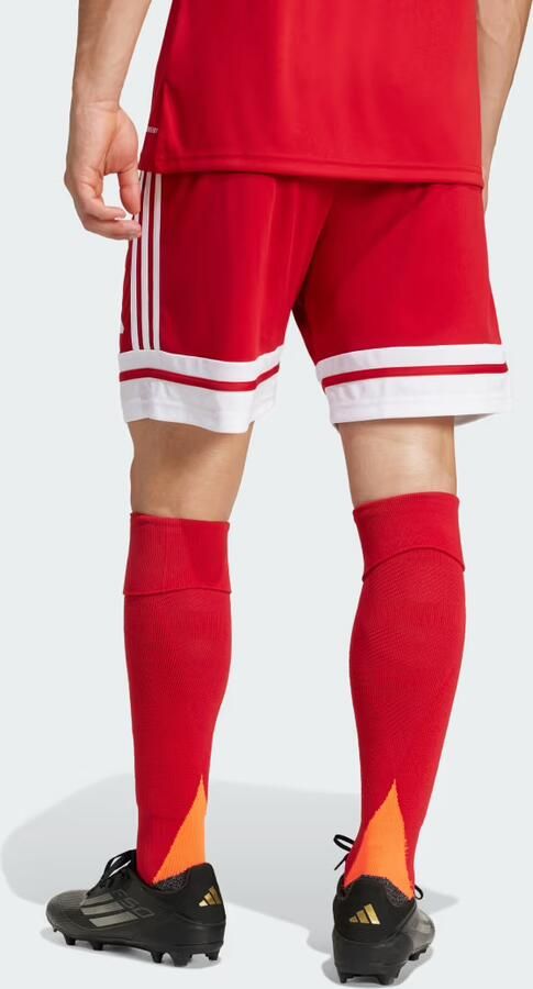 Adidas Korte Broek Short Squadra 25 Rouge - Foto 5