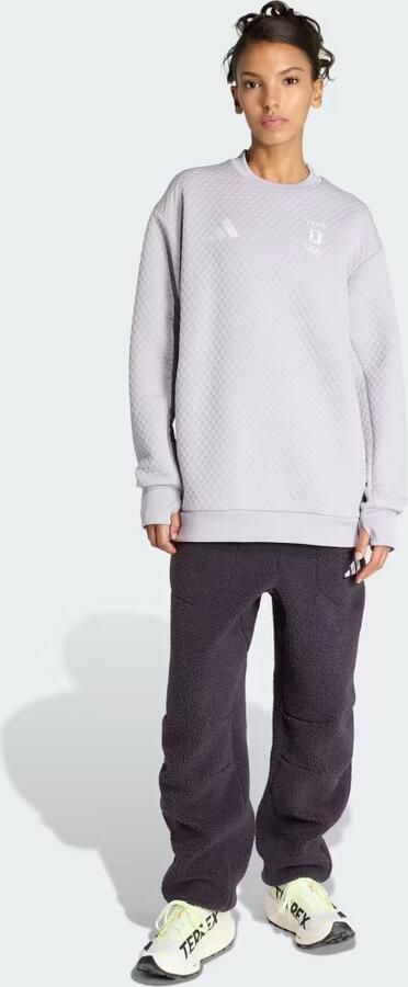 Adidas Team D XPLORIC SWEATER - Foto 6