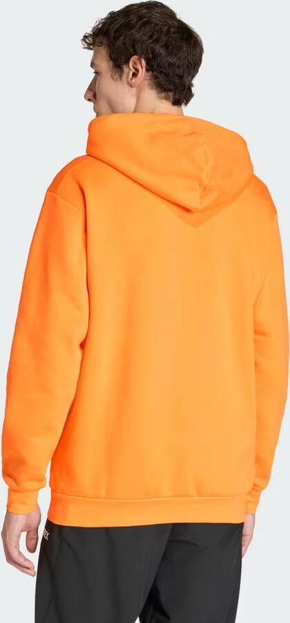 Adidas Terrex Multi Large Logo Hoodie - Foto 4