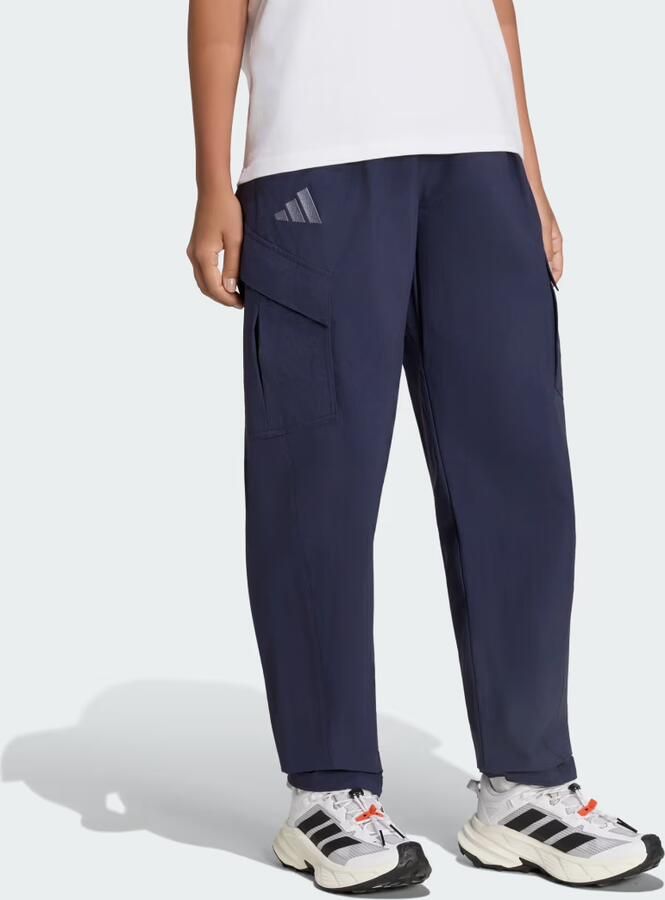 Adidas Terrex Xploric CLIMA365 Cargobroek