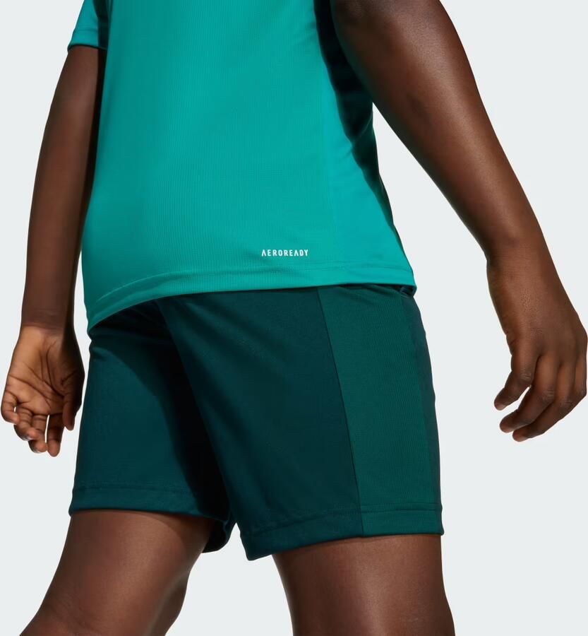 Adidas Train Essentials Logo Regular Fit T-shirt Kids