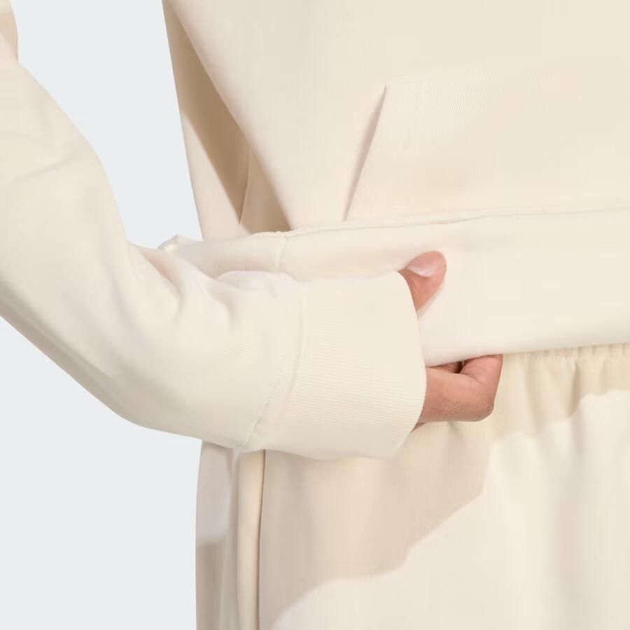 Adidas Originals Hoodie ESS HD Basic hoodie capuchonpullover met logo