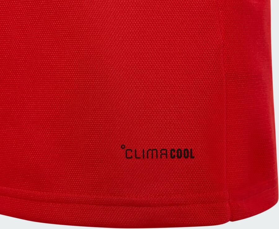 Adidas Wales 150 Voetbalshirt Kids - Foto 4