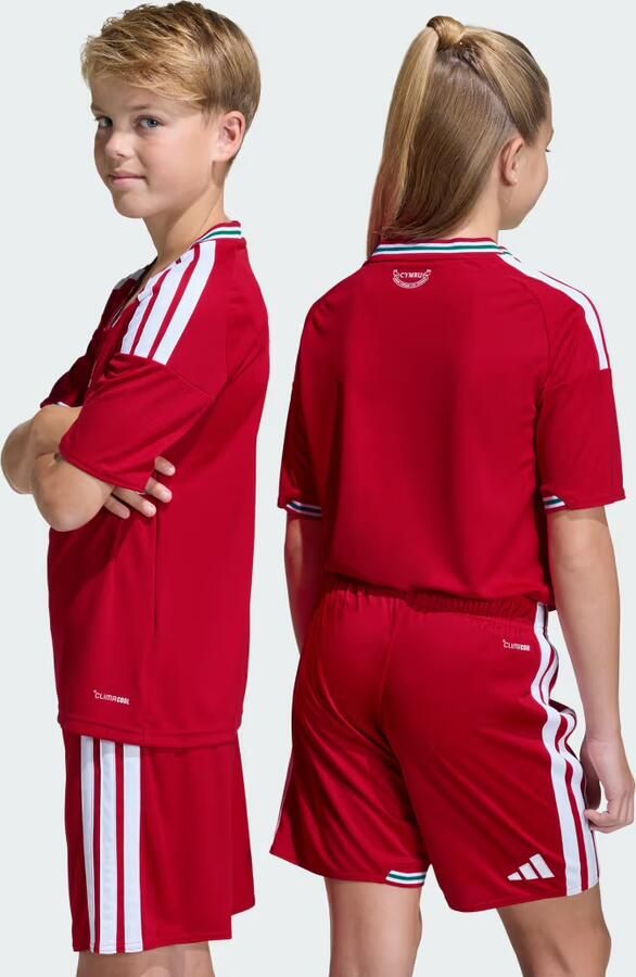 Adidas Wales 26 Thuisshirt Kids - Foto 3