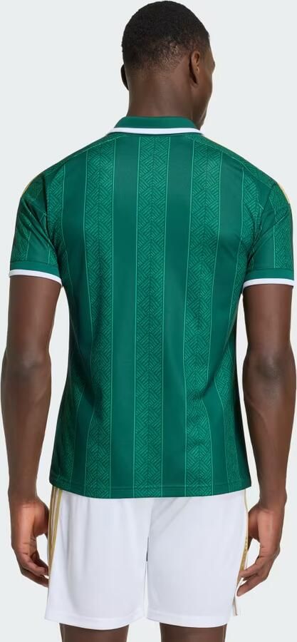 Adidas Originals South Africa 2026 Away Shirt Groen- Heren Groen - Foto 6