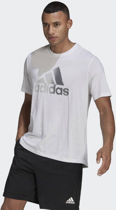 Adidas Performance AEROREADY Designed to Move Sport Logo T-shirt