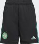 Adidas Performance Celtic FC Tiro Training Short - Thumbnail 1