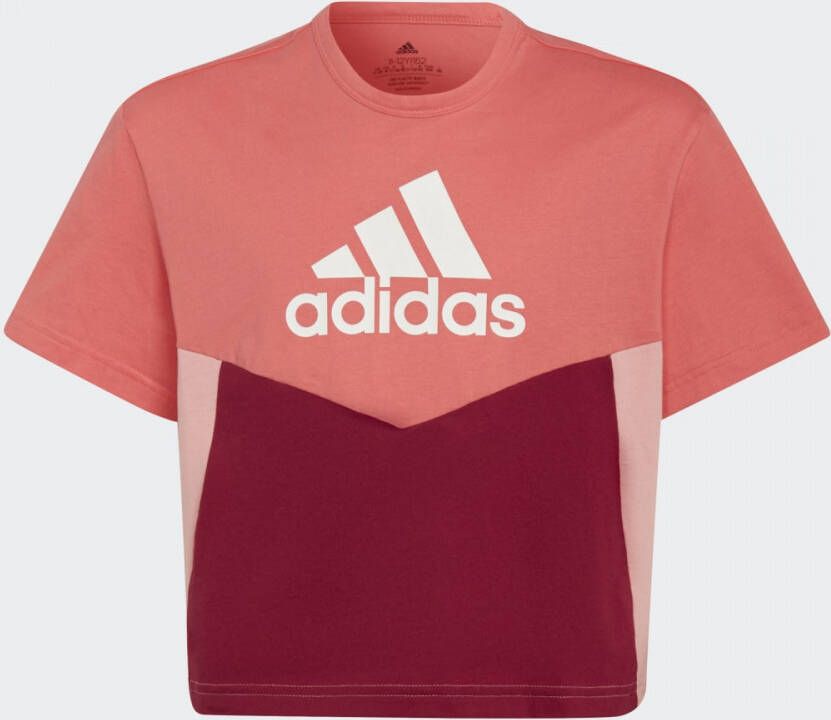 Adidas Sportswear Colorblock T-shirt