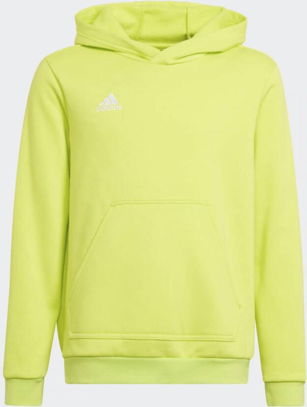 Adidas Performance Entrada 22 Sweat Hoodie
