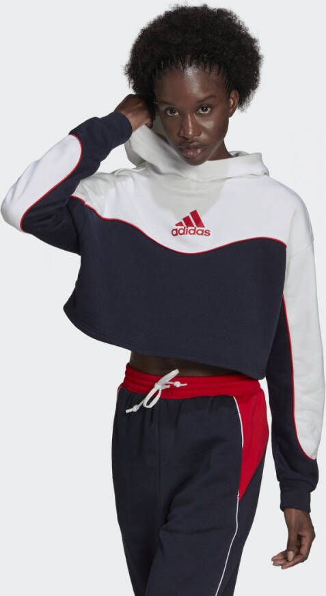 Adidas Sportswear Hoodie COLORBLOCK HOODY MET 3 STREPEN