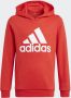 Adidas Sportswear Hoodie ADIDAS ESSENTIALS HOODIE - Thumbnail 2